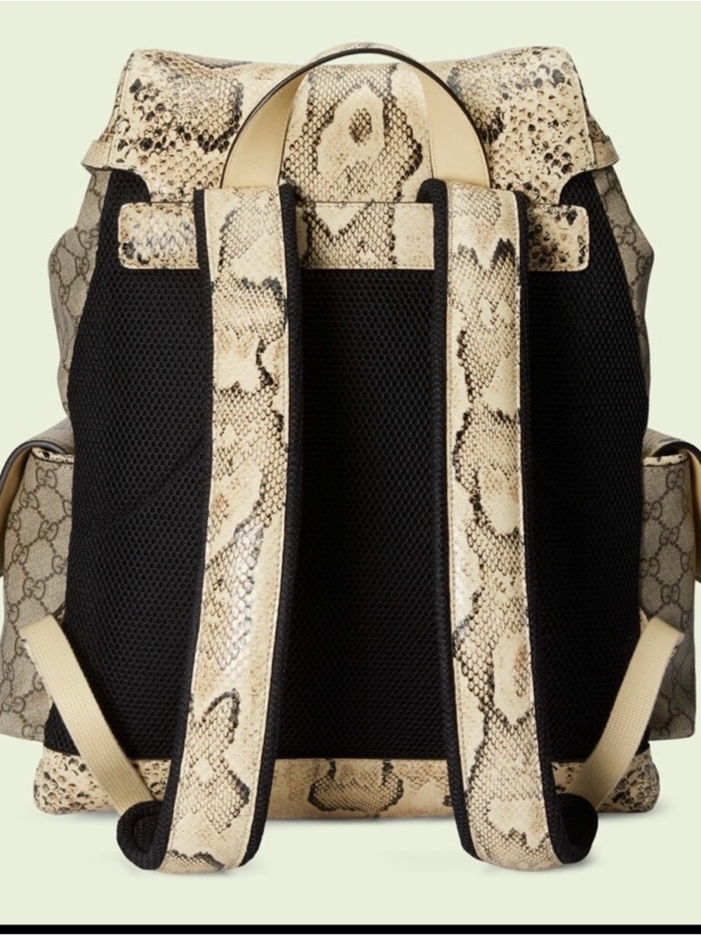 Gucci Beige/Brown GG Supreme Backpack with Python Trim - Picture 4 of 6